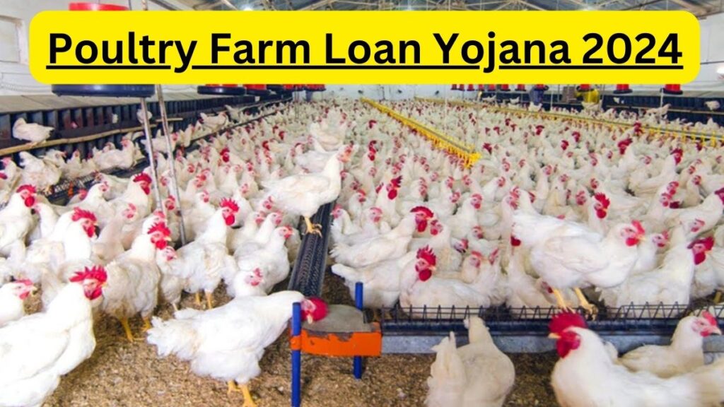 Poultry Farm Loan Yojana 2024