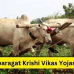 Paramparagat Krishi Vikas Yojana 2024